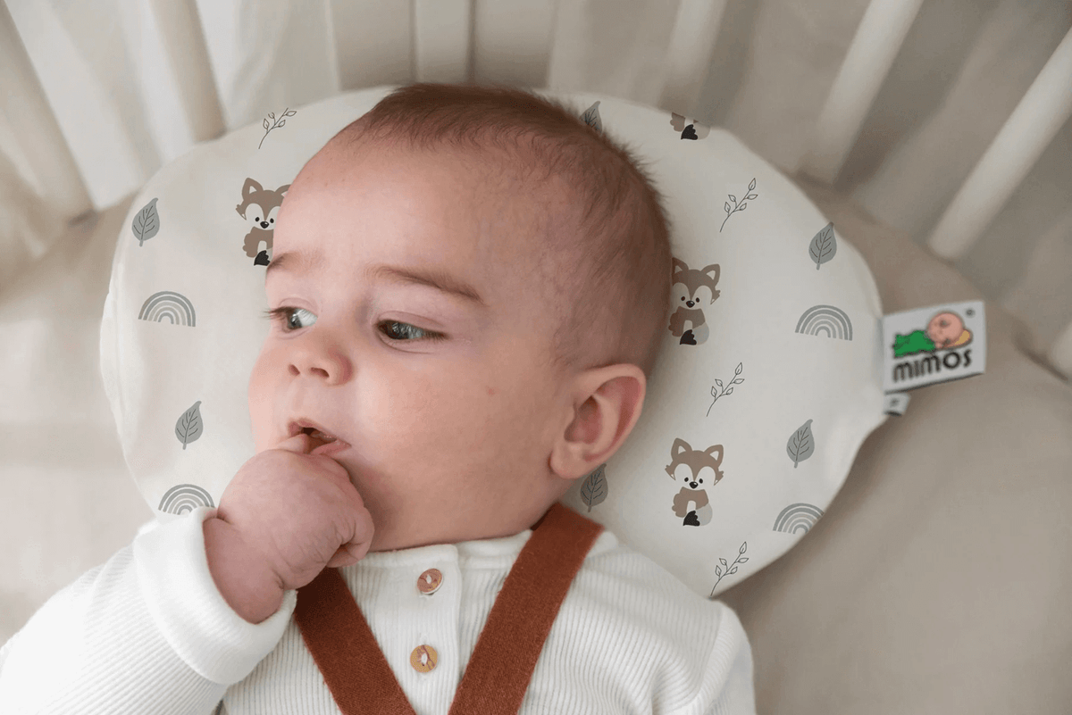 Mimos Pillow Bundle  - Pillow and a Cover (Fox - NEW)