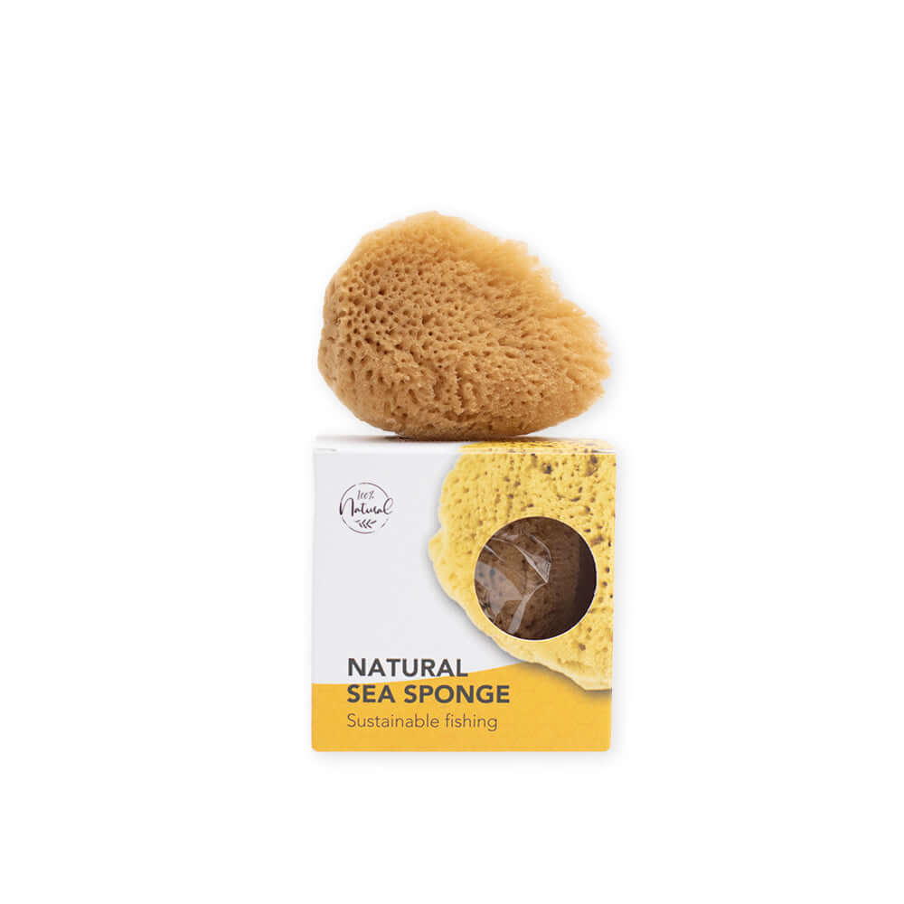 Sustainable Natural Sponge