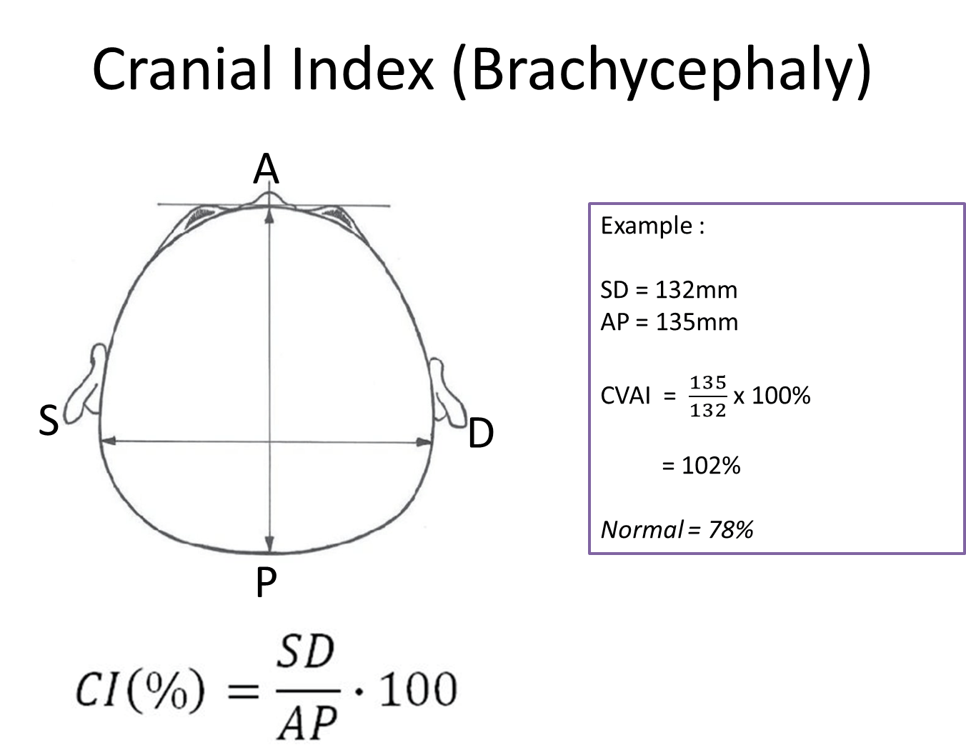 measure baby cranial deformity Brachycephaly