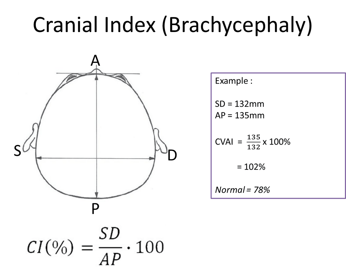 Brachycephaly deformity measurement and index calculation