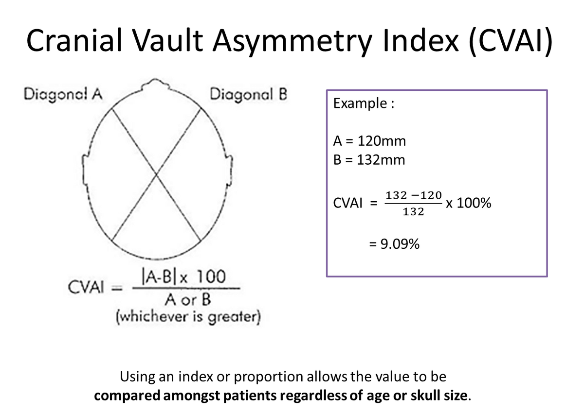 Elastic Measuring Band Version 2.0 for Craniometer (Pack of 10)